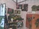 3 D Garden създава иновативен вид изкуство, използвайки естествен мъх 3 d garden