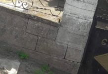 Невинно същество се нуждае от помощ Dog Help