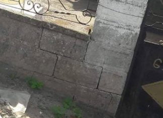 Невинно същество се нуждае от помощ Dog Help