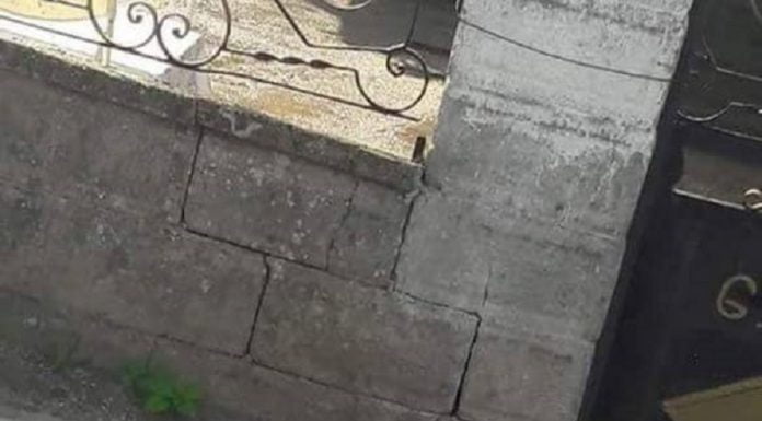 Невинно същество се нуждае от помощ Dog Help