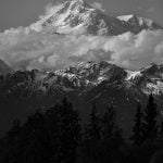 BNW Denali Verti