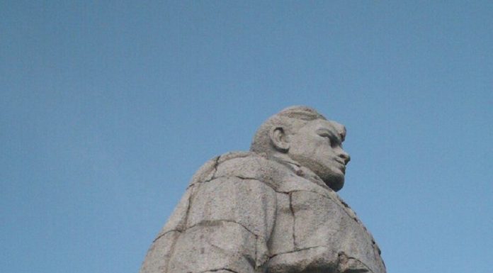 Не се предвижда референдум за премахването на Альоша