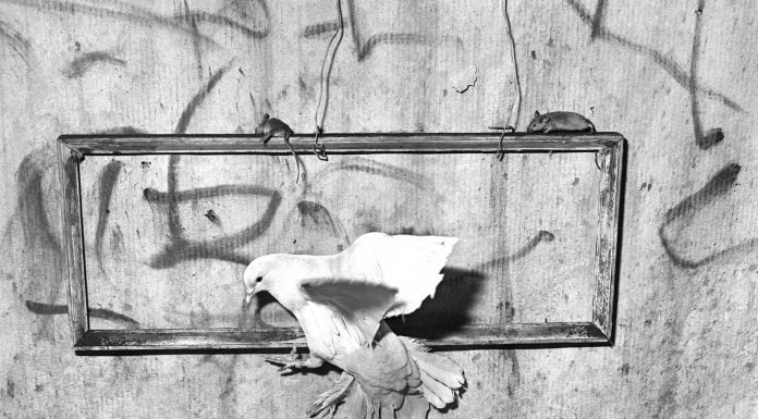 Роджър Балън пристига за първи път у нас с ретроспективна изложба Роджър Балън