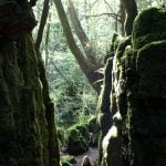 puzzlewood_rocks