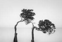 Най-добрите снимки на природни пейзажи за 2018-та One Eyeland