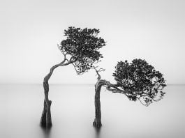 Най-добрите снимки на природни пейзажи за 2018-та One Eyeland