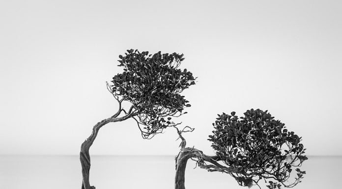 Най-добрите снимки на природни пейзажи за 2018-та One Eyeland