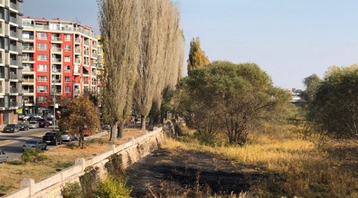 Пожар избухна на река Марица (Видео) Марица