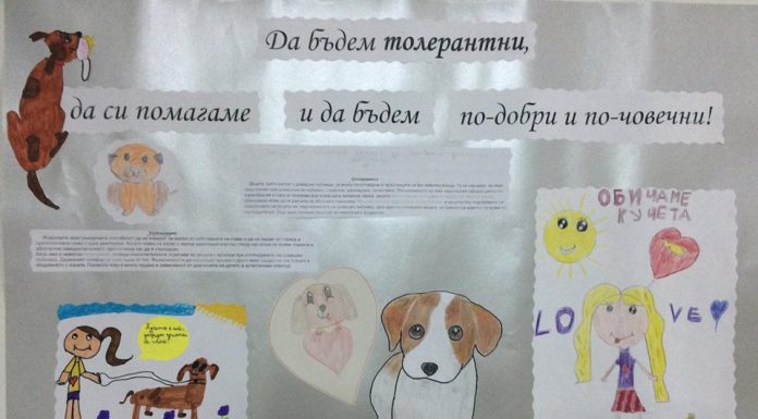 Ученици от „Димитър Матевски“ подкрепиха подписката за домашните любимци Димитър Матевски