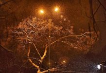 Първият сняг посипа Пловдив Зима