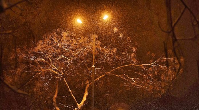 Първият сняг посипа Пловдив Зима