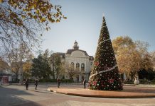 Палим светлините на коледното дърво в Пловдив Коледа