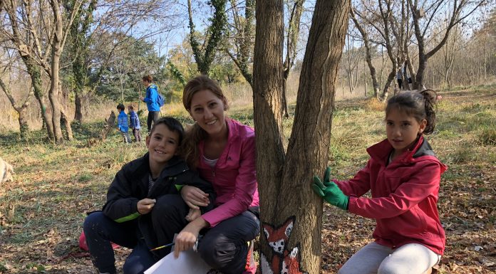 Изрисуваха дърветата в Ботаническата градина Ботаническа градина