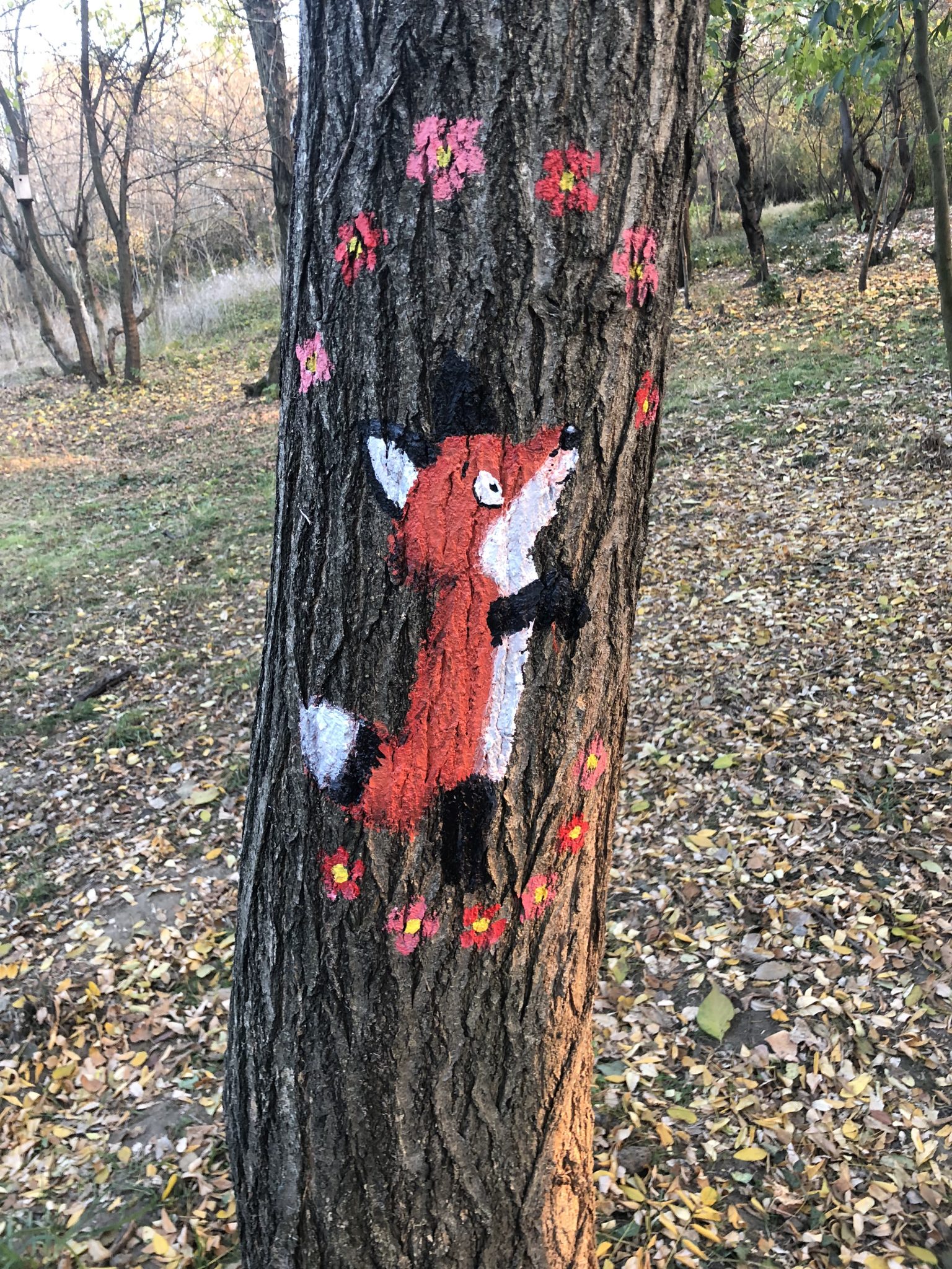 Ботаническа градина