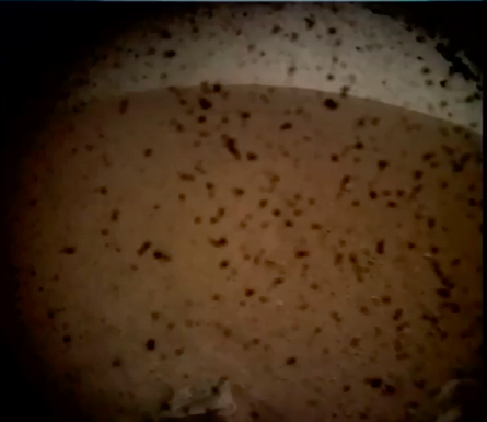 НАСА с първа снимка от успешното кацане на Марс