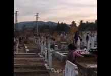 Защо ромите в България правят каквото си поискат? (Видео)