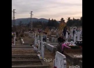 Защо ромите в България правят каквото си поискат? (Видео)