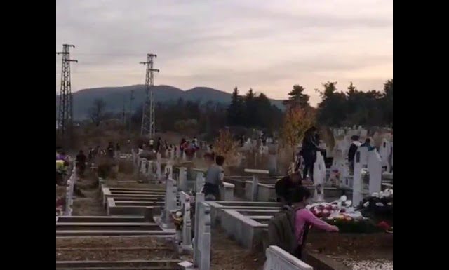 Защо ромите в България правят каквото си поискат? (Видео)