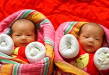Китайски учени създадоха генномодифицирани близнаци за първи път в света Близнаци Китай