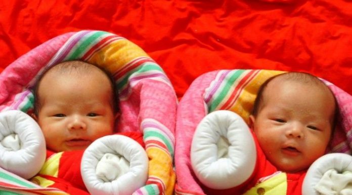 Китайски учени създадоха генномодифицирани близнаци за първи път в света Близнаци Китай
