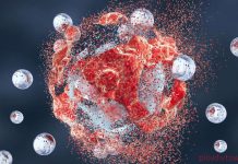 Учени откриха нов вид лечение на тумори с малки РНК молекули Клетки Рак