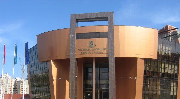 Елха ще грейне в новия парк на Тракия – Пловдив