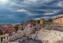 Организират събитие в Пловдив за кученцето Аврора Организират събитие в Пловдив за кученцето Аврора