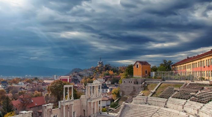 Организират събитие в Пловдив за кученцето Аврора Организират събитие в Пловдив за кученцето Аврора