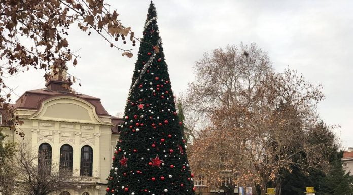 Прасета в Пловдив пред Общината няма да има ВИДЕО Прасета в Пловдив пред Общината няма да има