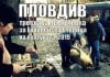 Тотев прави прасета на мезета пред Община Пловдив Тотев прави прасета на мезета пред Община Пловдив