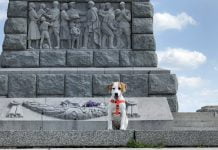 Отрова поставена на Хълм Бунарджика в Пловдив