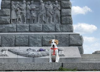 Отрова поставена на Хълм Бунарджика в Пловдив