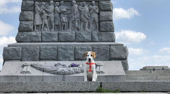 Отрова поставена на Хълм Бунарджика в Пловдив