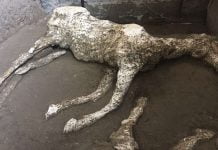 Помпей: Откриха коне в Археологически парк Помпей: Откриха коне в Археологически парк