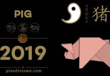 Огромни промени в живота на 4 зодии през 2019 година Зодии През 2019