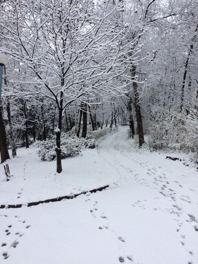 Пловдив - Европейска столица на културата в сняг