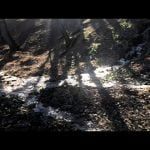 Video thumbnail for youtube video stm7v6cebc4