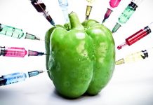 Учени: Противниците на ГМО са невежи ГМО