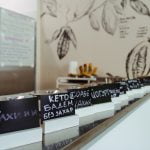 Савина и сбъднатата мечта за чист занаятчийски сладолед в Пловдив