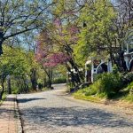 Водата прави борбата на Бунарджика в Пловдив