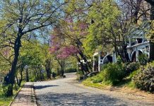 Водата прави борбата на Бунарджика в Пловдив Водата прави борбата на Бунарджика в Пловдив