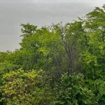 Дъжд и лека градушка се изливат силно над Пловдив