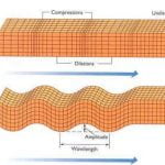 Предусещат ли животните земетресенията?