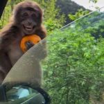 Усмивка за милиони обиколи социалите мрежи по света