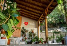 Зора: Забравената от властта улица в Стария Пловдив Зора: Забравената от властта улица в Стария Пловдив