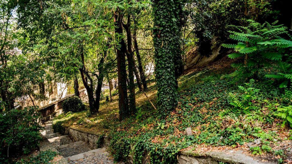 Зора: Забравената от властта улица в Стария Пловдив