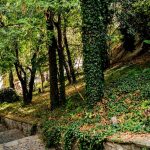 Зора: Забравената от властта улица в Стария Пловдив