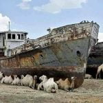 Да-изчезнеш-за-60-години-или-тъжната-история-на-Аралско-море-4