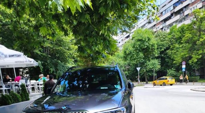 Общинско БМВ спря да си хапне тортичка в Пловдив Общинско БМВ спря да си хапне тортичка в Пловдив