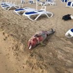 105938581_10223094615943331_4953136690918102347_n